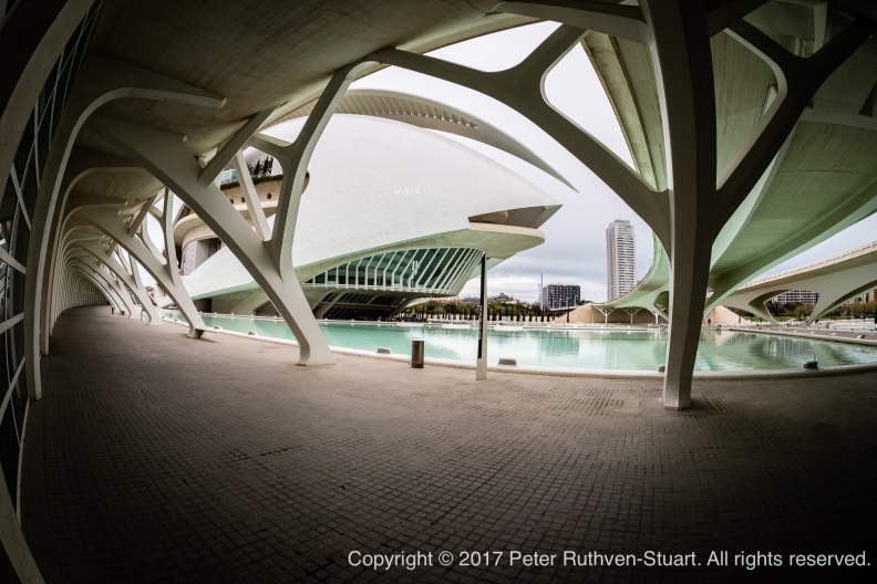 20170304-PRS_7955-HDR City of Arts and Sciences, Spain, Valencia.jpg